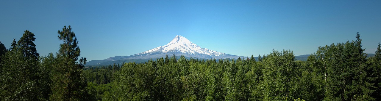Remodeling services in Happy Valley, OR